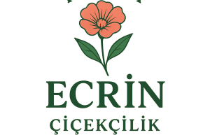 cropped-cropped-kahtaecrin-1-300x193.png