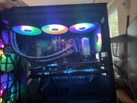 IMG_3311.jpeg
