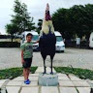 Alpre2008
